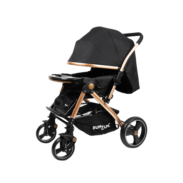Luxurious Baby Stroller