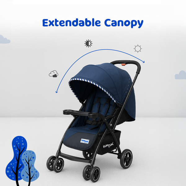 Premium Baby Stroller