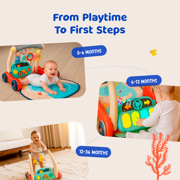 2 in 1 Play gym