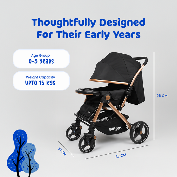 Luxurious Baby Stroller