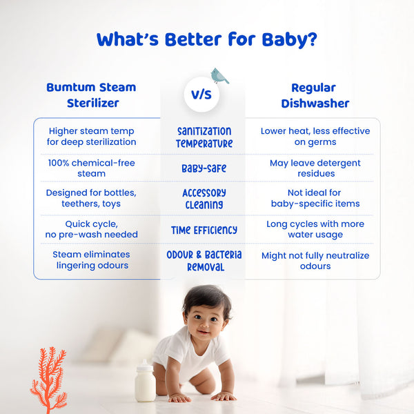 Bottle Sterilizer With Dryer