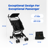 Foldable Baby Stroller